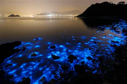 Mnet 119579 Blueglow 1