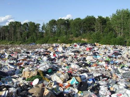 Mnet 119664 Landfill