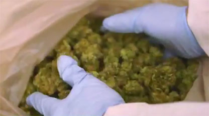 Mnet 184865 Marijuana Invest 0