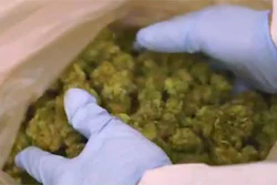 Mnet 184865 Marijuana Invest 0
