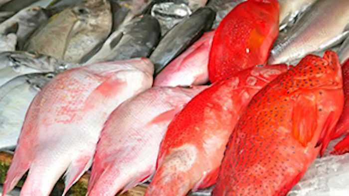 Mnet 141251 Seafood Fraud Lead