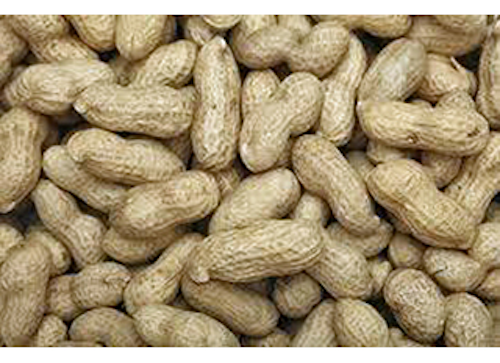 Mnet 141605 Peanuts In Cumin Lead