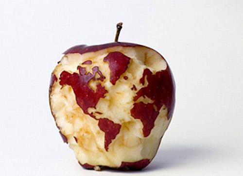 Mnet 141624 World Map Food Lead