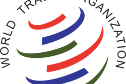 Mnet 42470 Wto Logo0 2