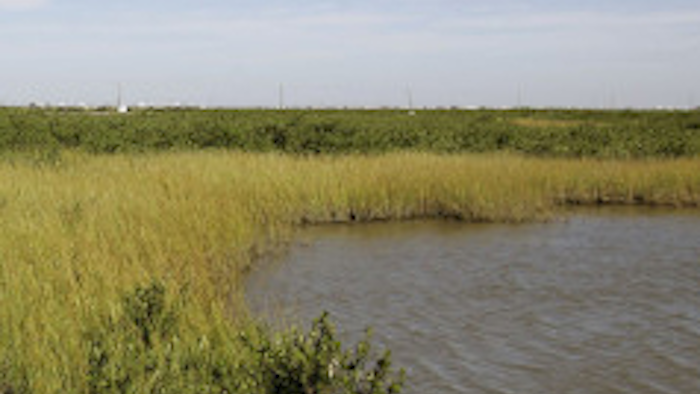 Mnet 42650 N Louisiana Erosion Large570