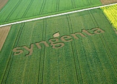 Mnet 44949 Syngenta