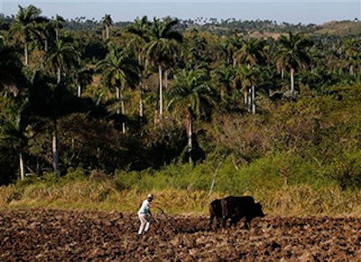 Mnet 141967 Cubausfarminglead