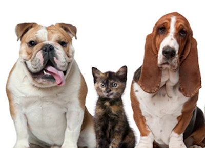 Mnet 142137 Pet Food Ingredients Lead