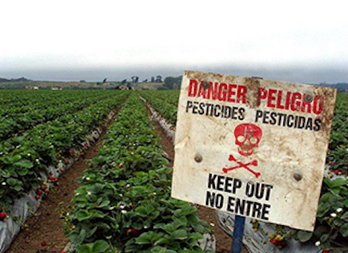 Mnet 142324 Pesticides Pic Lead