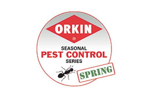 Mnet 142541 Orkin Spring Logo Lead