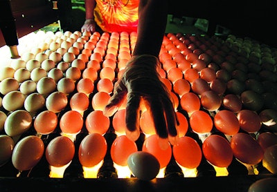 Mnet 185800 Eggs 3