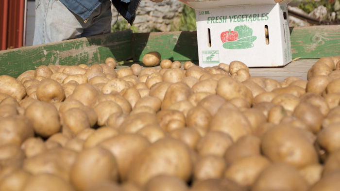 Mnet 185956 Potatoes 0