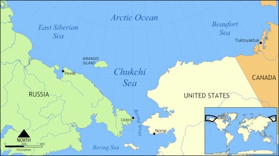 Mnet 120278 Chukchisea