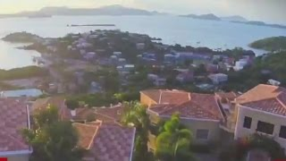 Mnet 120298 Virginislandpest