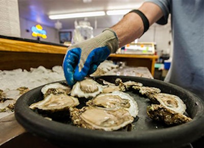 Mnet 142836 Oysters Lead