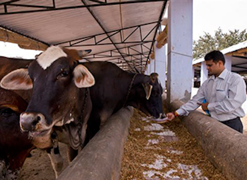 Mnet 143124 India Beef Leade