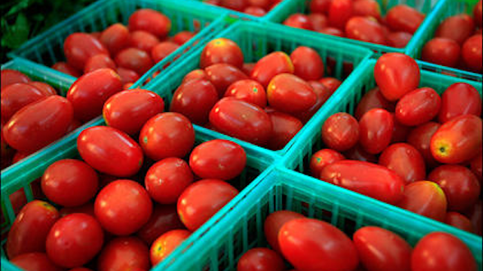 Mnet 44035 121231 Florida Tomatoes 660 0