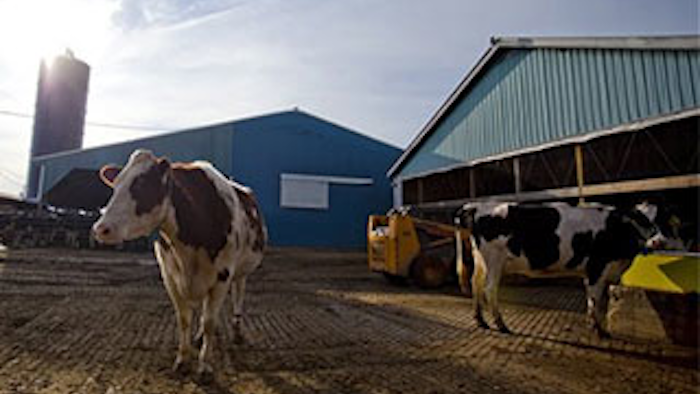 Mnet 143822 Farm Bill Dairy Lead 0