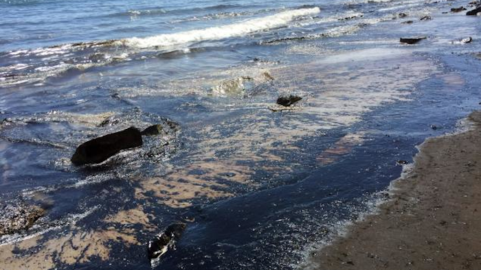 Mnet 45252 California Oil Spill