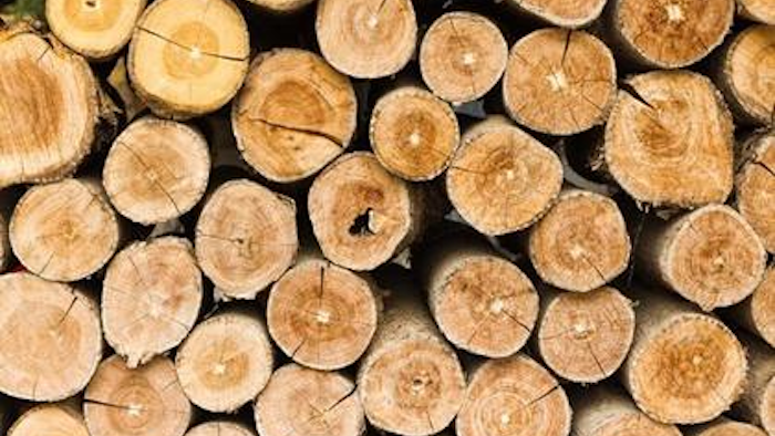 Mnet 120999 Lignin