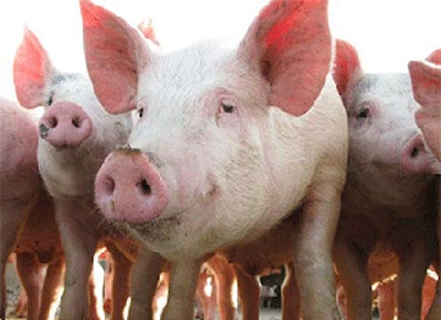 Mnet 144351 Pork Producers Lead