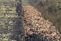 Mnet 144412 Dead Chickens Lead