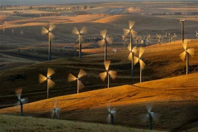 Mnet 169651 Wind Energy Eagle Deaths Ap 1