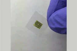 Mnet 187570 Wooden Chip 0