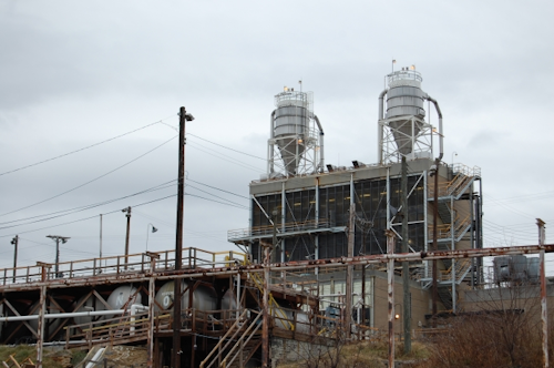 Mnet 121369 Radfordammuplant