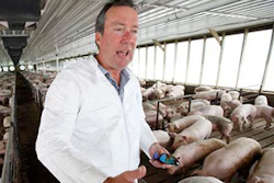 Mnet 145255 Cargill Pork Lead