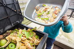 Mnet 145694 Food Waste Lead 3