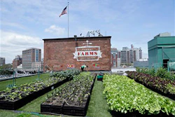 Mnet 145710 Fenwayparkfarmlead 0