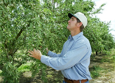 Mnet 145784 Almond Farming Lead