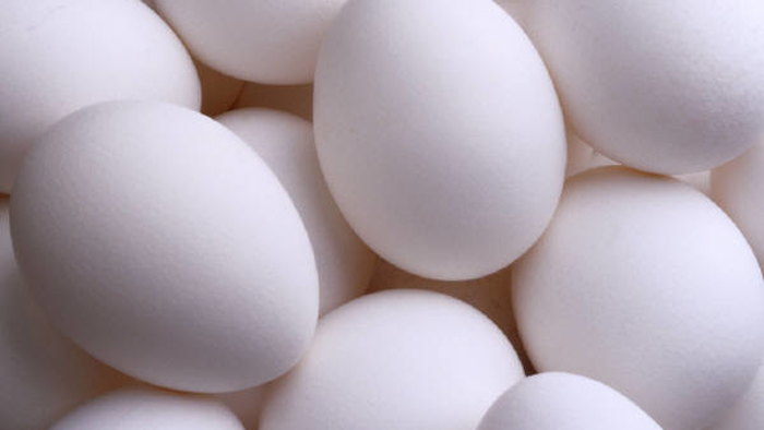 Mnet 170395 Eggs 3