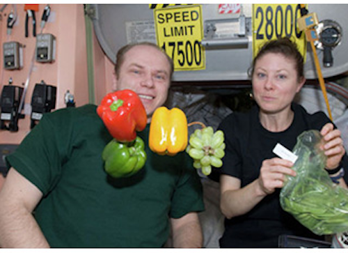 Mnet 146171 Space Veggies Lead