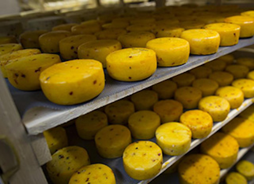 Mnet 146337 Contraband Cheese Lead