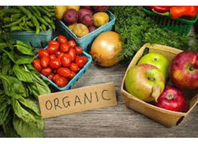 Mnet 146596 Organic Food Lead 2