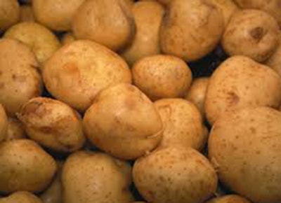 Mnet 146613 Gmo Potato Lead 0