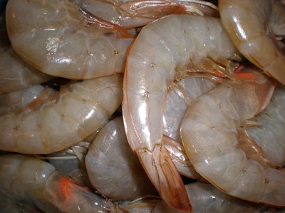 Mnet 171044 Shrimp