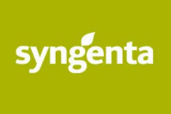 Mnet 188434 Syngenta 0