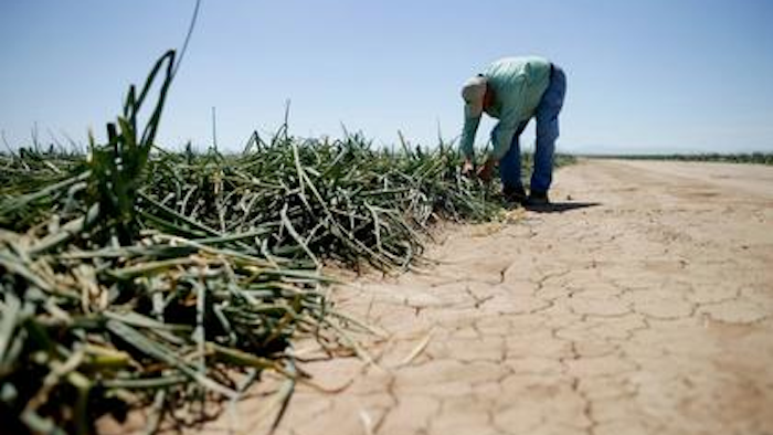 Mnet 188710 Ca Drought Farming 1