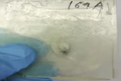 Mnet 48014 Polymer