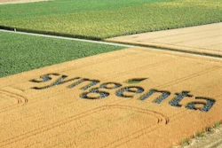 Mnet 48039 Syngenta 3