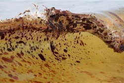Mnet 121743 Oil Spill 0