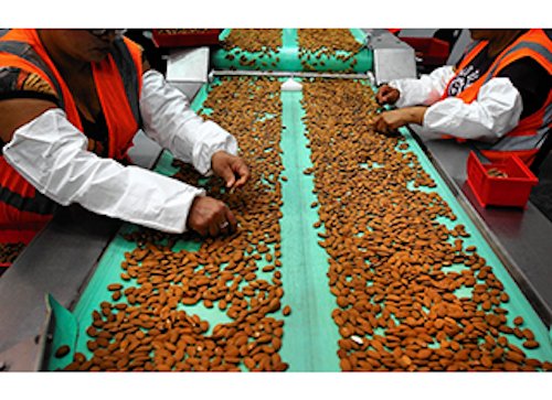 Mnet 147282 Almond Industry Lead 0