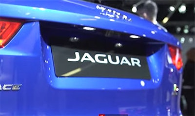 Mnet 189002 Jaguar 12