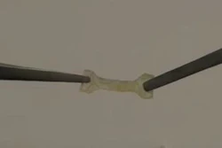 Mnet 48184 Squid Teeth Polymer