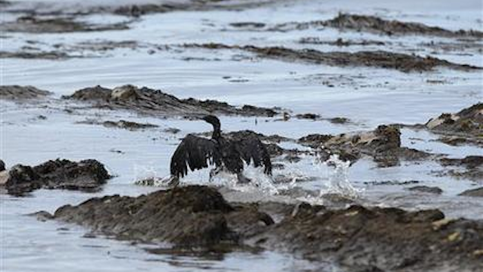 Mnet 48758 Oil Safety Bird