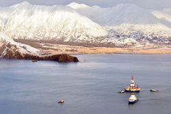 Mnet 49062 Shell Leaves Alaska 2