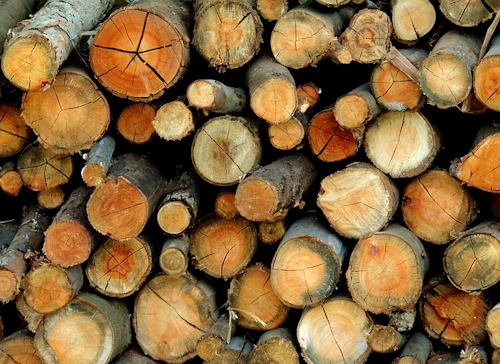 Mnet 122197 Firewood